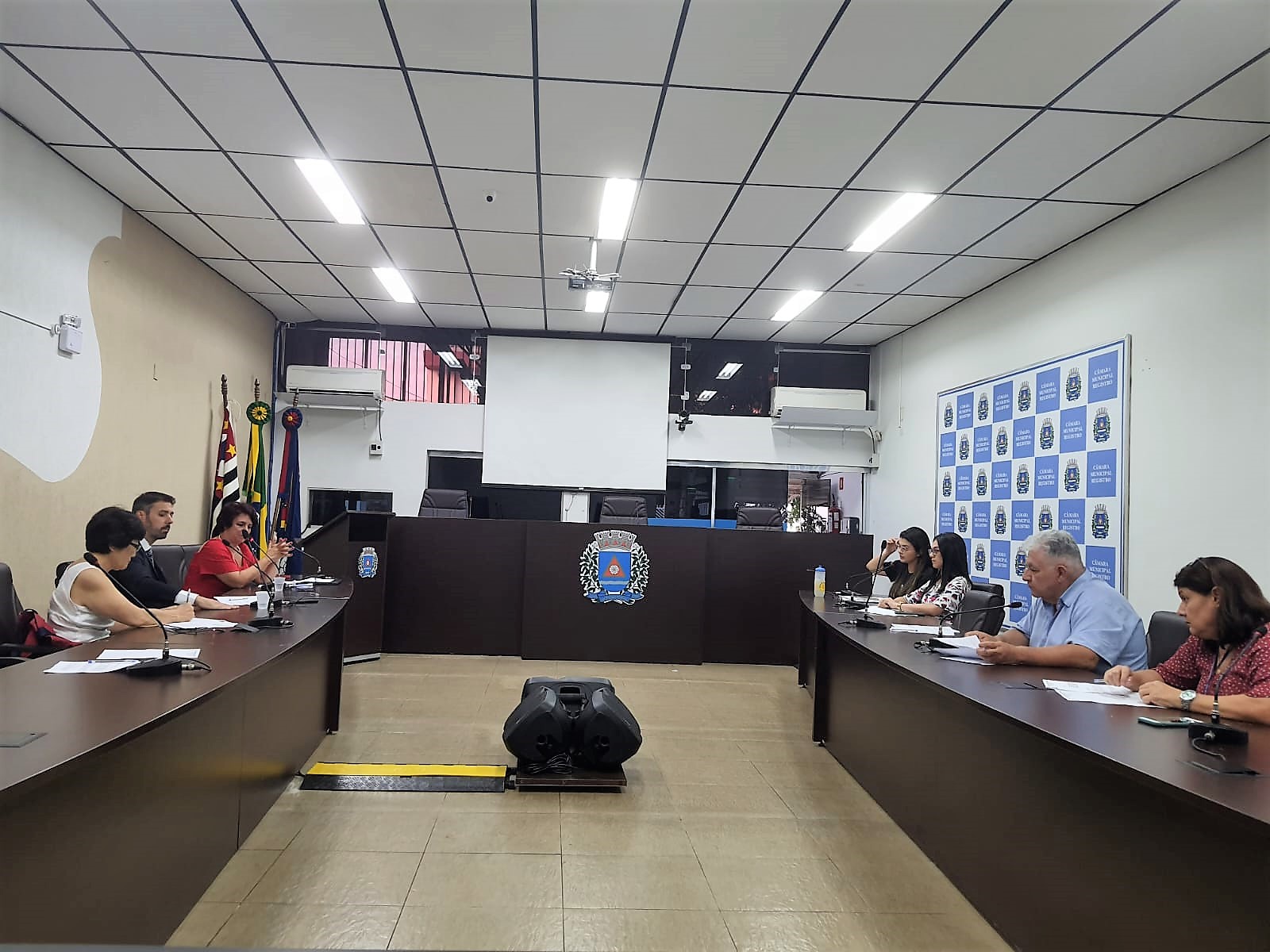 Procuradoria  Especial da Mulher  debate a criação de um  Observatório  de Violência contra a Mulher 